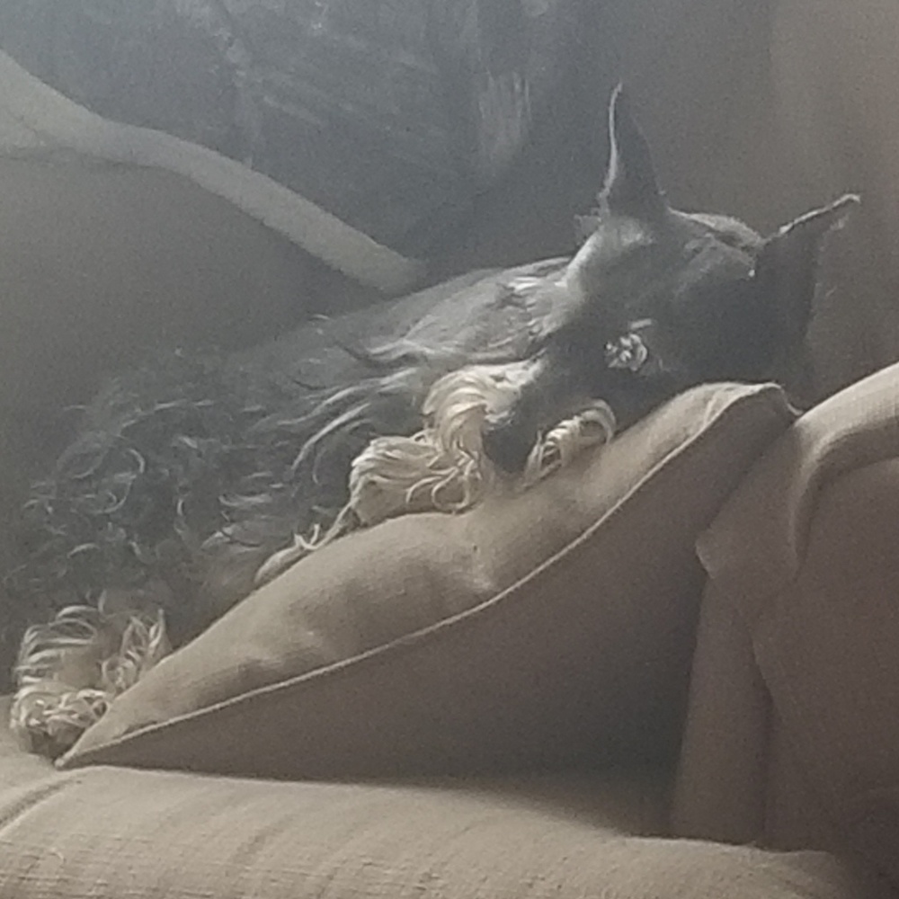 Meet your Posher, Laurie